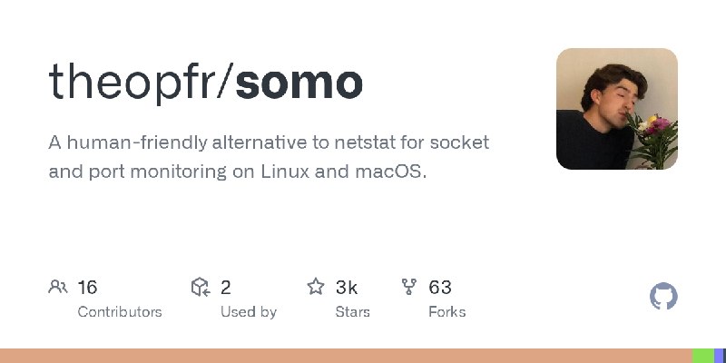 GitHub - theopfr/somo: A human-friendly alternative to netstat for socket and port monitoring on Linux and macOS.